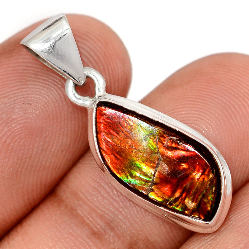 1.2" Ammolite Pendants - AMLP3003