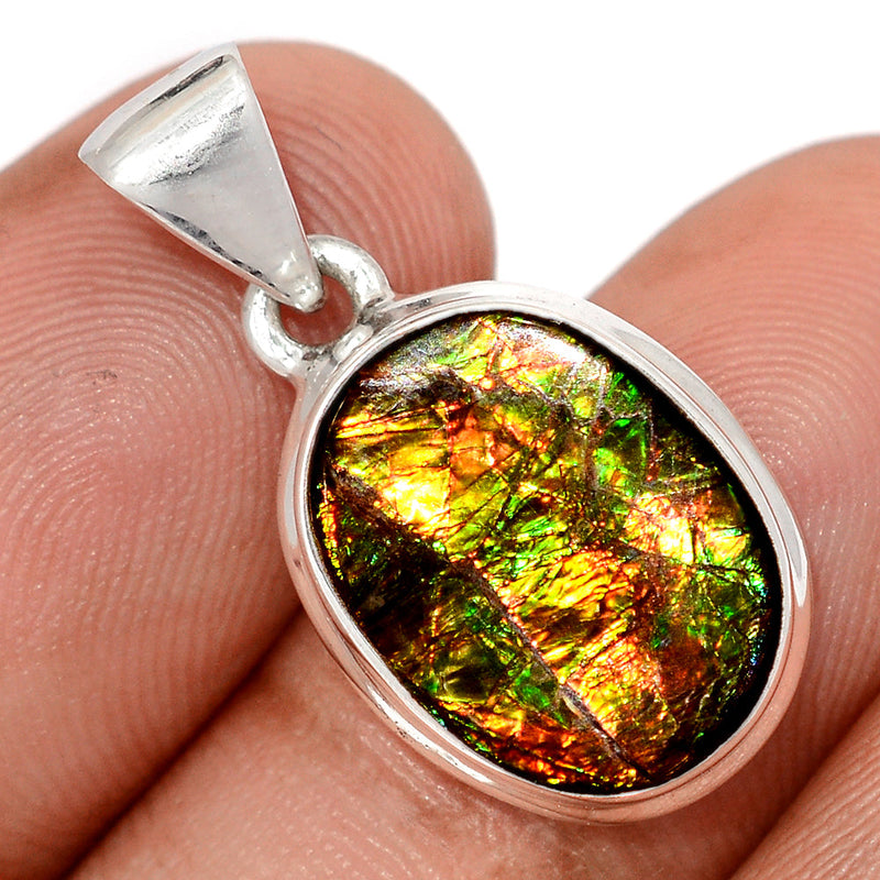 1.1" Ammolite Pendants - AMLP3004