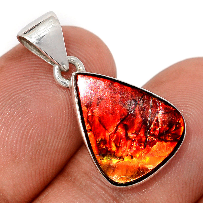 1" Ammolite Pendants - AMLP3005