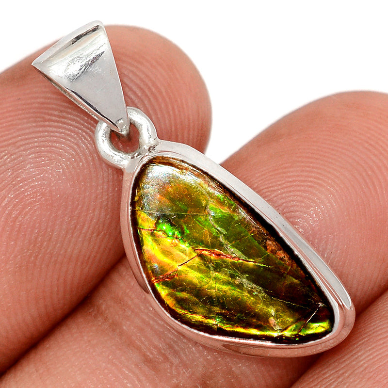 1.1" Ammolite Pendants - AMLP3006