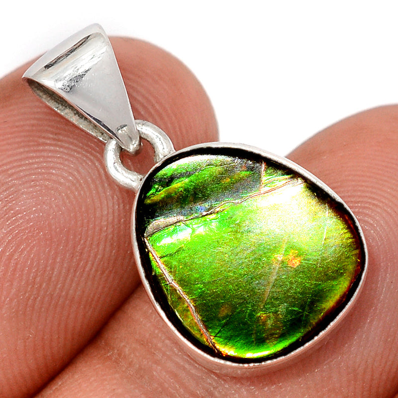 1" Ammolite Pendants - AMLP3007