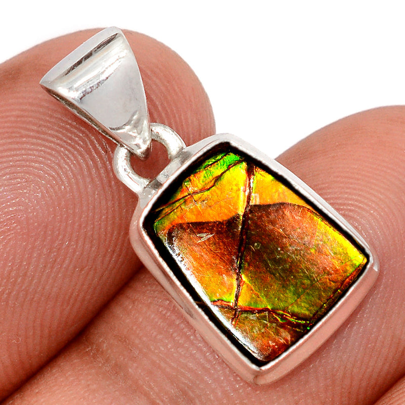 1" Ammolite Pendants - AMLP3008
