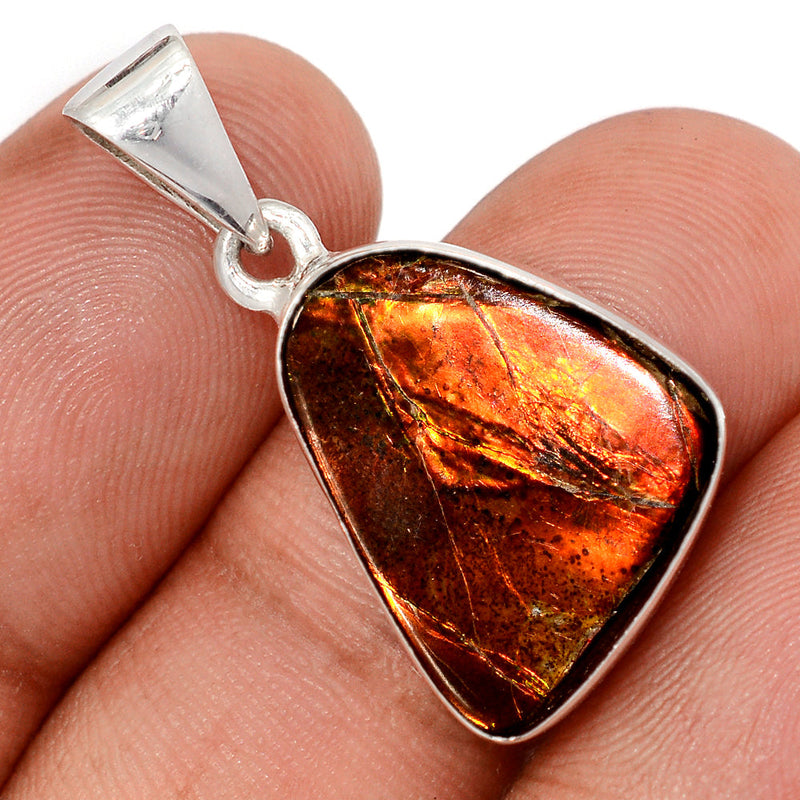 1.2" Ammolite Pendants - AMLP3012