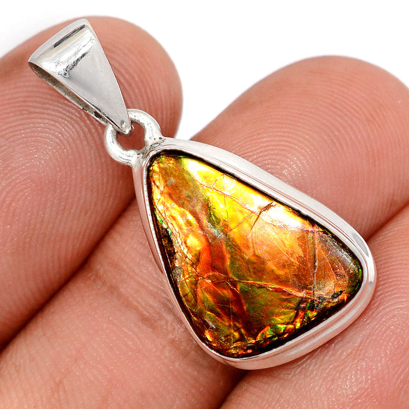 1.2" Ammolite Pendants - AMLP3013