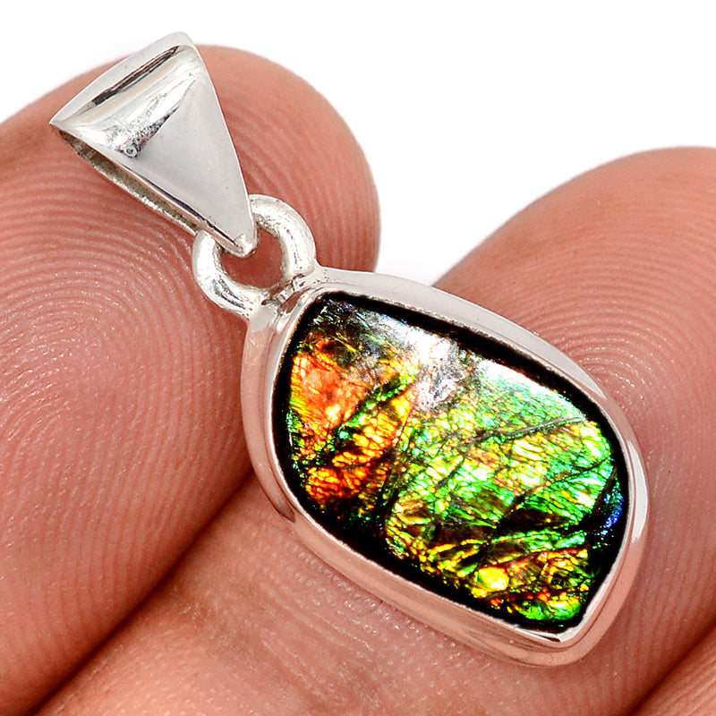 1.1" Ammolite Pendants - AMLP3015