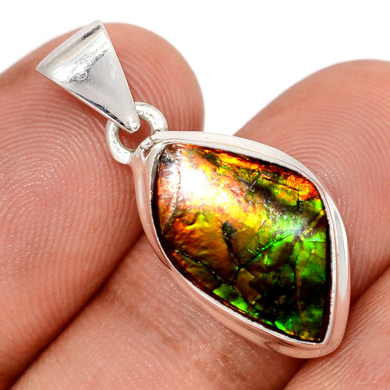1.1" Ammolite Pendants - AMLP3016