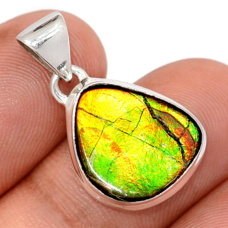 1" Ammolite Pendants - AMLP3017