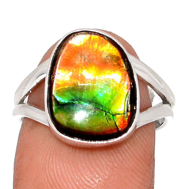 Ammolite Ring - AMLR1949