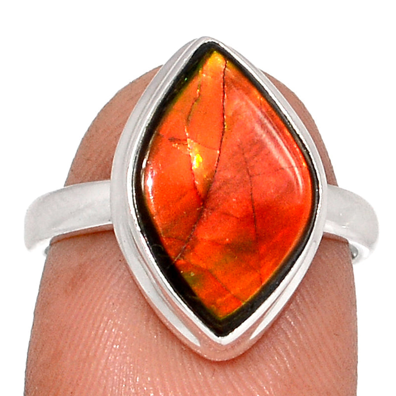 Ammolite Ring - AMLR1954