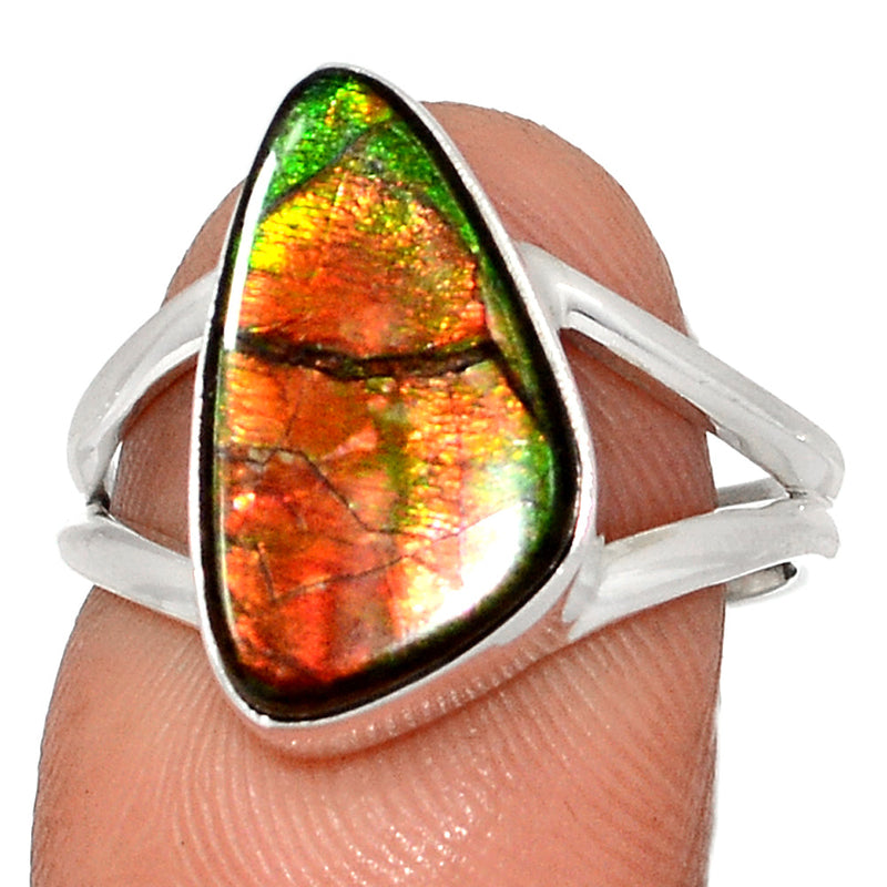 Ammolite Ring - AMLR1960