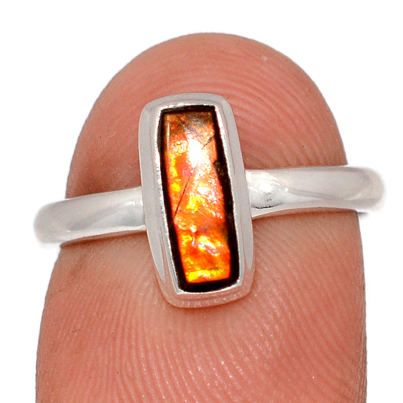 Ammolite Ring - AMLR1971