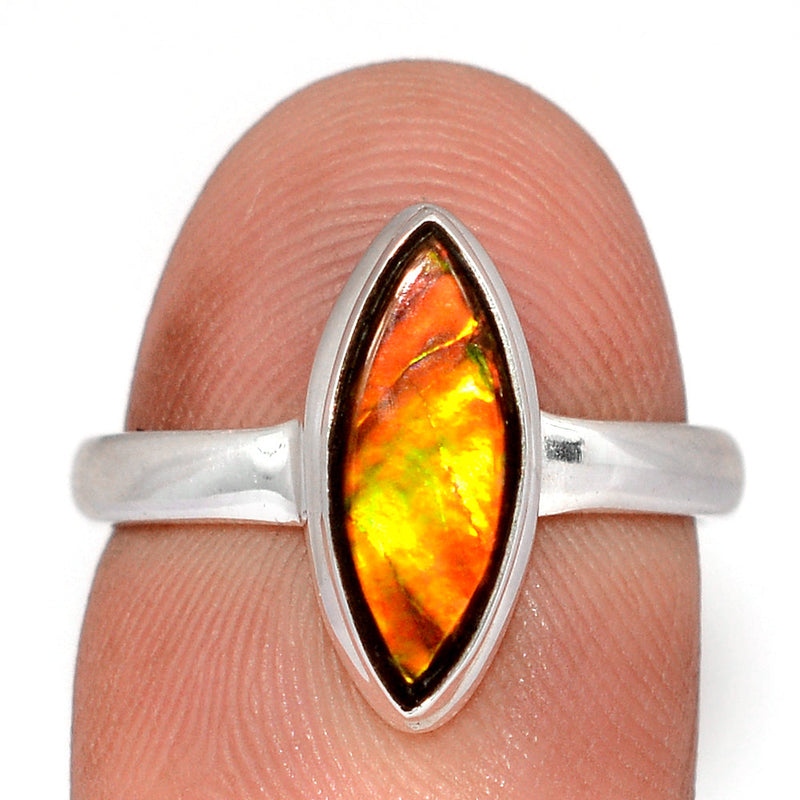 Ammolite Ring - AMLR29