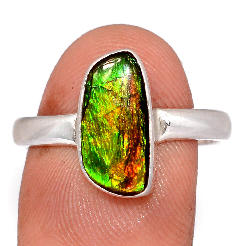 Ammolite Ring - AMLR2