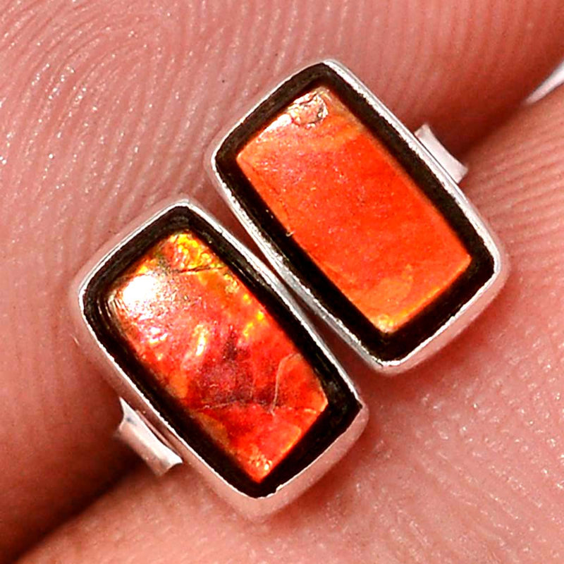 Ammolite Studs - AMLS216