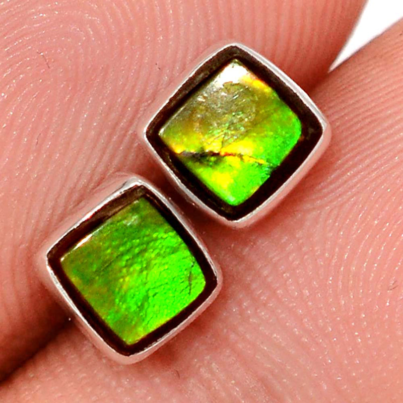 Ammolite Studs - AMLS223