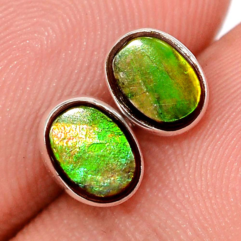 Ammolite Studs - AMLS226