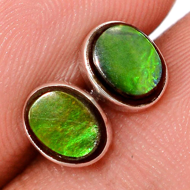 Ammolite Studs - AMLS230