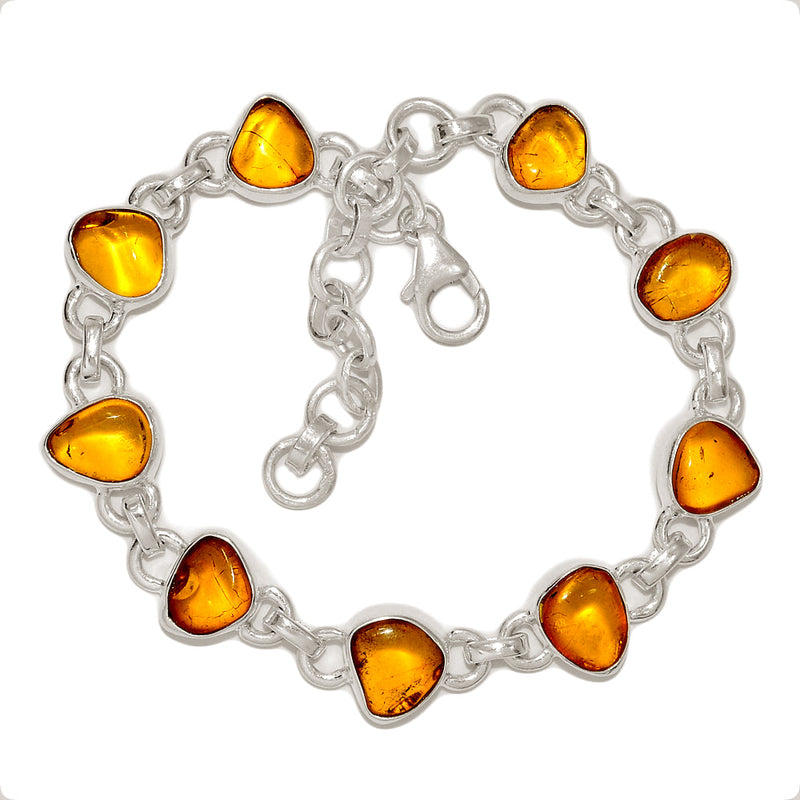 8.5" Baltic Amber Bracelets - BAMB71