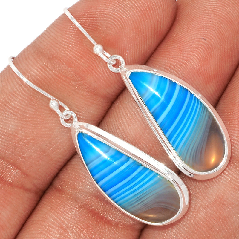 1.6" Botswana Agate Earrings - BSAE1115