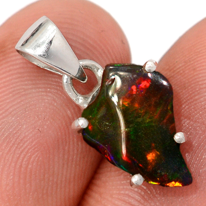 1" Claw - Chalama Black Opal Polish Rough Pendants - CBRP16
