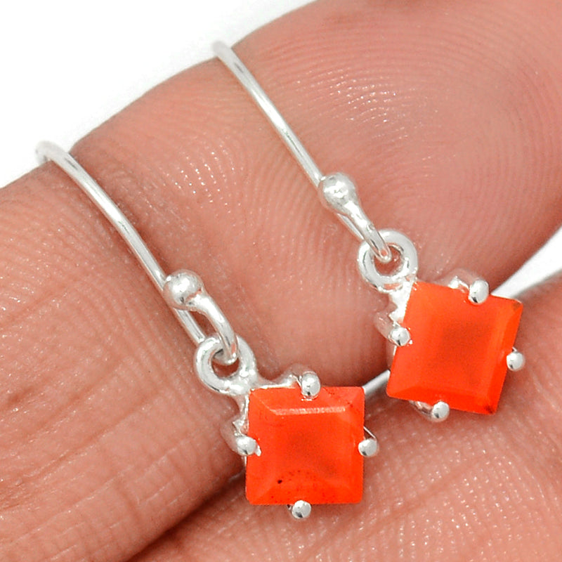 0.8" Claw - Carnelian Faceted Earrings - CRFE340