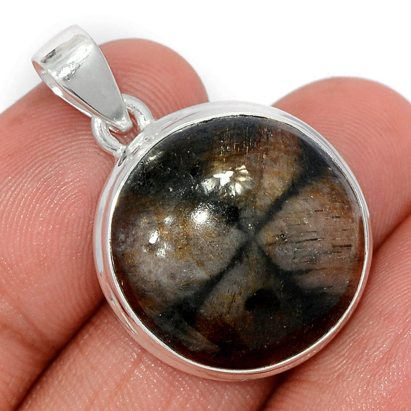 1.3" Chiastolite Pendants - CTLP1481