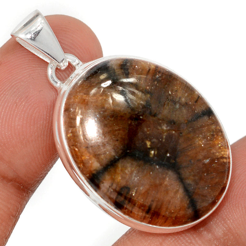 1.6" Chiastolite Pendants - CTLP1553