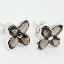 4*6 MM Oval - Smokey Quartz Earrings - ER2223SQ