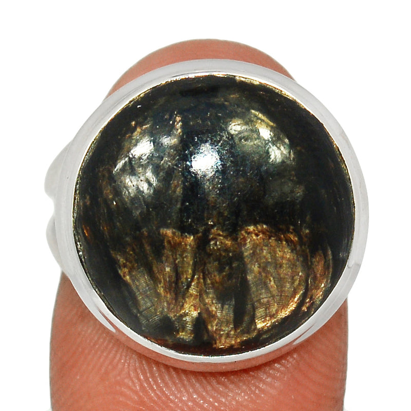 Golden Seraphinite Ring - GSPR399
