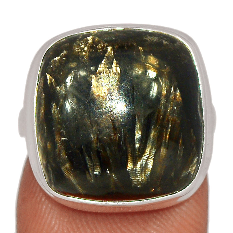 Golden Seraphinite Ring - GSPR434