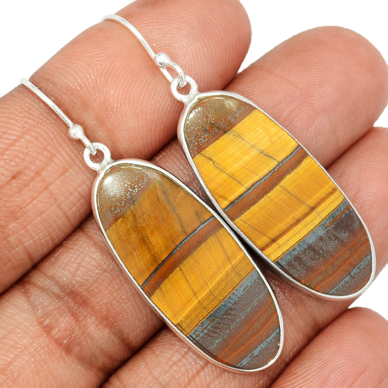 2" Iron Tiger Eye Earrings - ITEE205