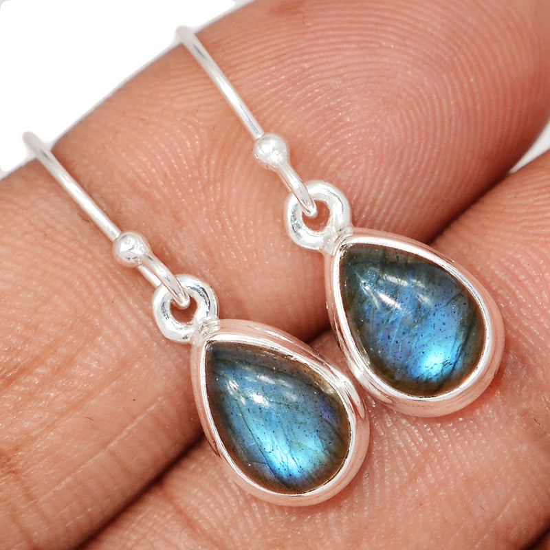 1.1" Labradorite Earrings - LABE1233