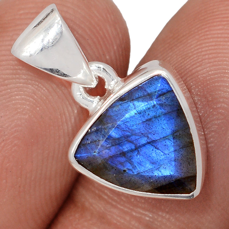 0.8" Labradorite Faceted Pendants - LBFP1229