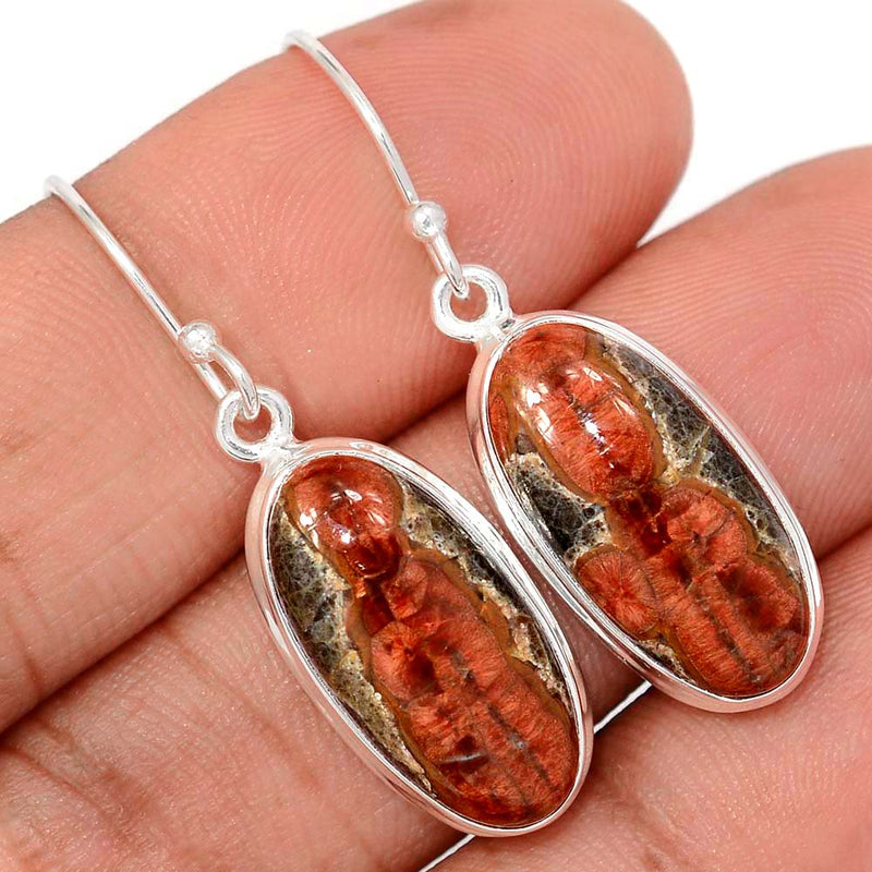 1.5" Laguna Lace Agate Earrings - LLAE1013