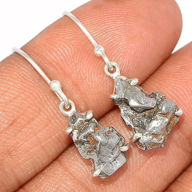 1.2" Claw - Meteorite Campo Del Cielo Earrings - MCDE628