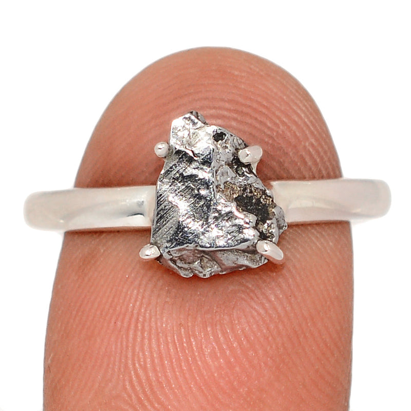 Claw - Meteorite Campo Del Cielo Ring - MCDR2101