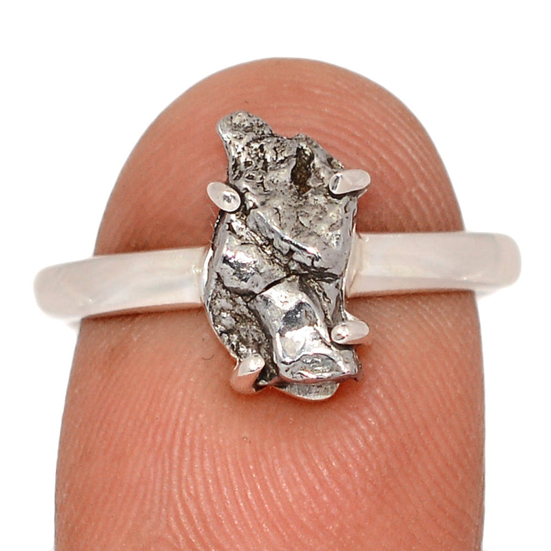 Claw - Meteorite Campo Del Cielo Ring - MCDR2130