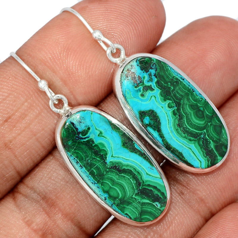 1.6" Malachite In Chrysocolla Earrings - MICE883