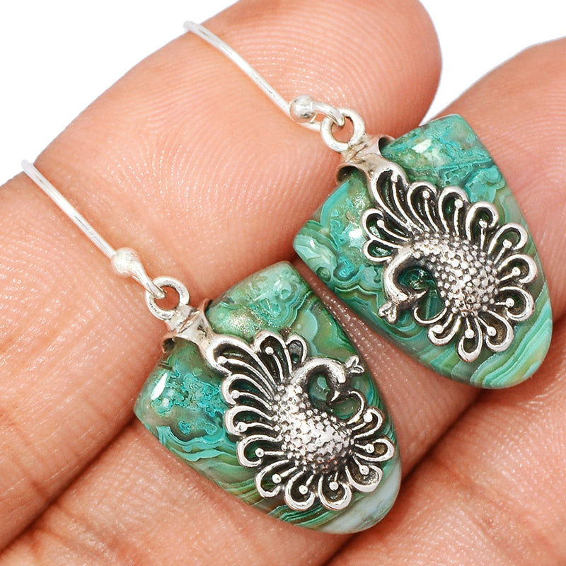 1.3" Peacock - Malachite In Chrysocolla Earrings - MICE972