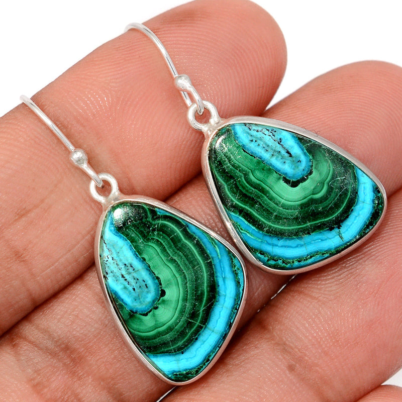 1.5" Malachite In Chrysocolla Earrings - MICE997