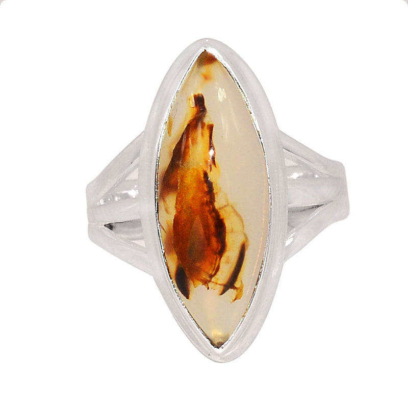 Montana Agate Ring - MNTR697