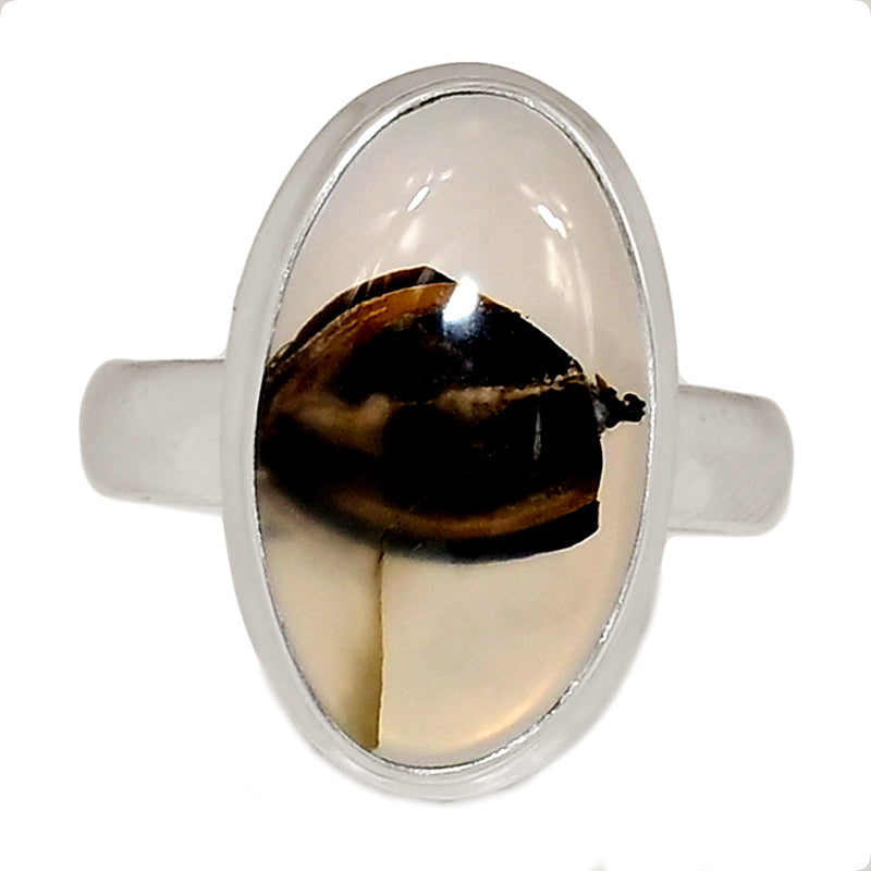 Montana Agate Ring - MNTR708