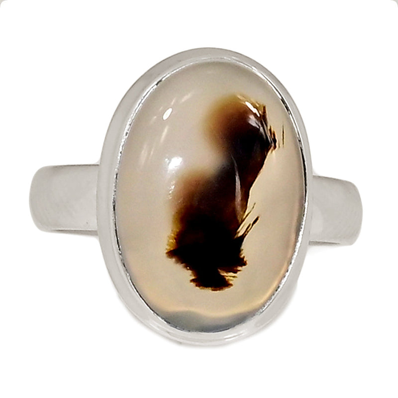 Montana Agate Ring - MNTR713
