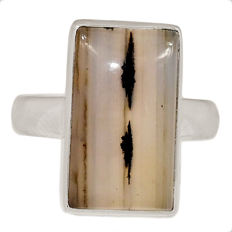 Montana Agate Ring - MNTR729