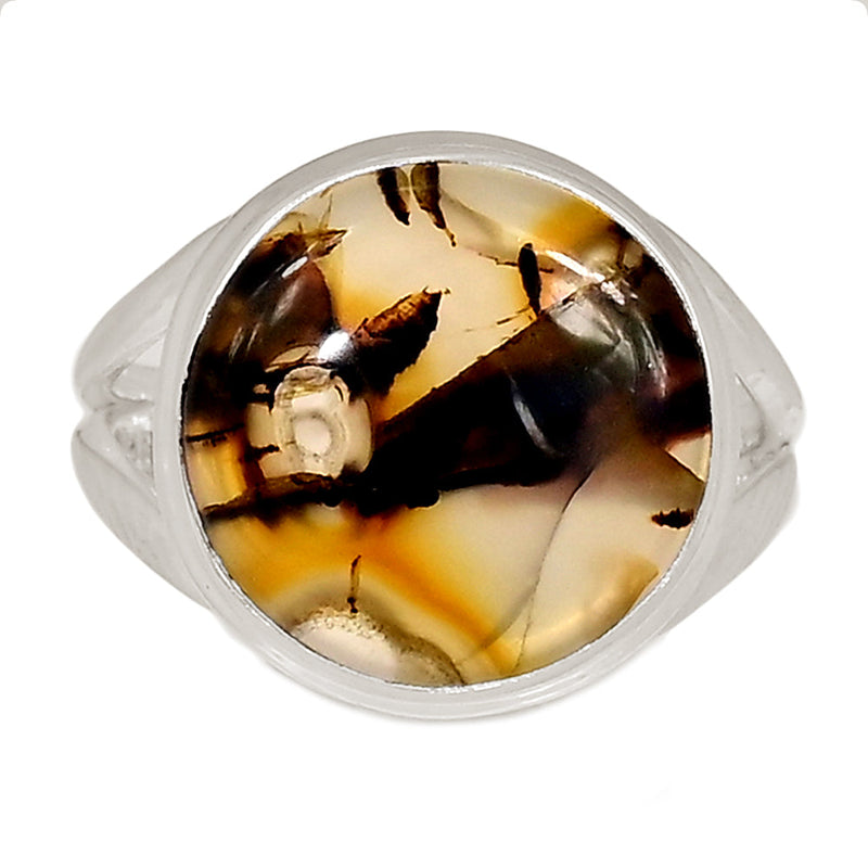 Montana Agate Ring - MNTR731