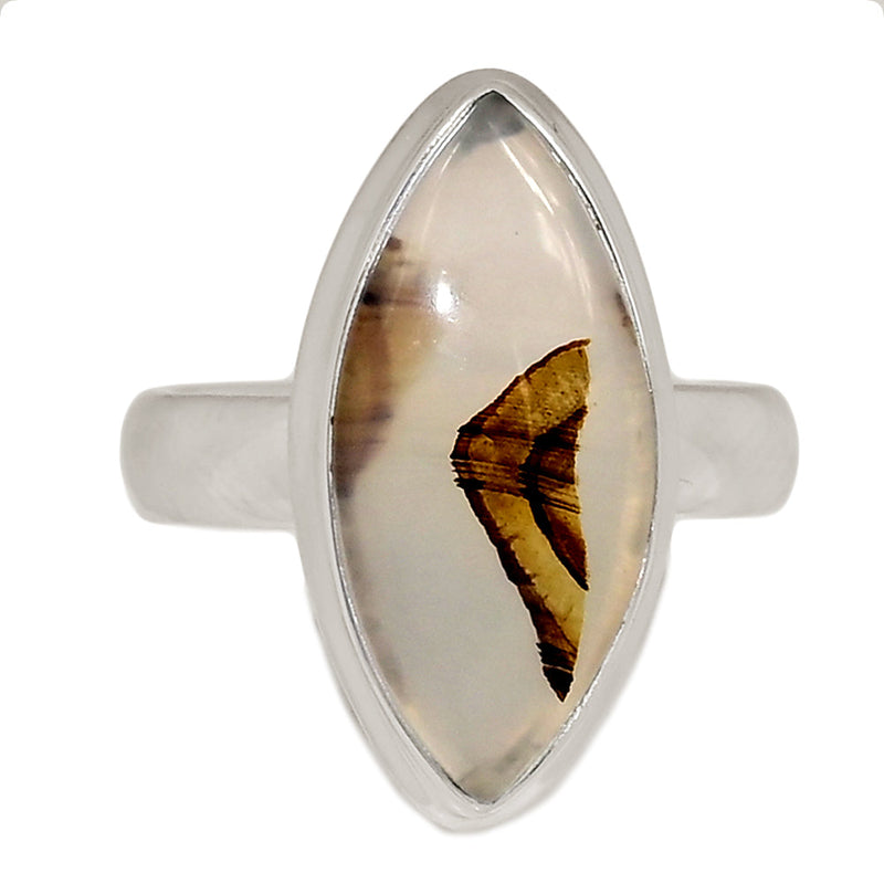 Montana Agate Ring - MNTR741