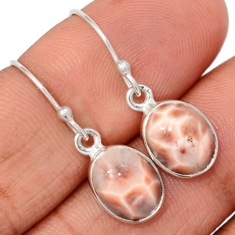 1.1" Natrolite Earrings - NTLE4