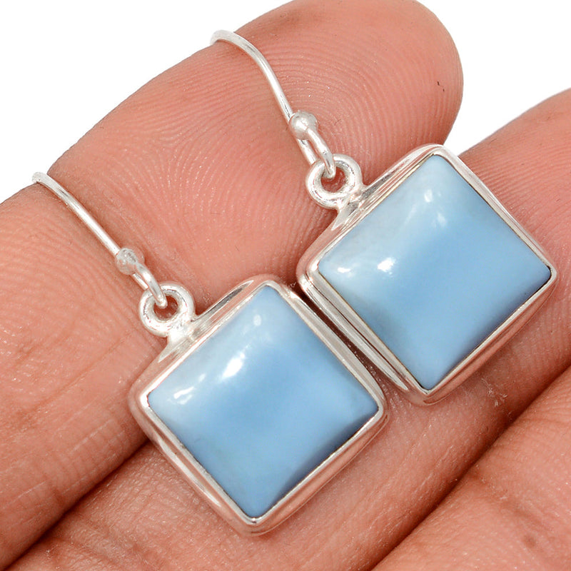 1.2" Owyhee Opal Earrings - OYOE441
