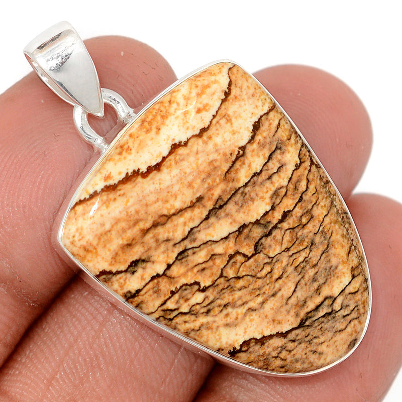 1.6" PIcture Jasper Pendants - PIJP444