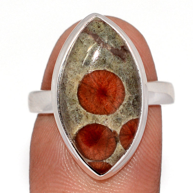 Peanut Obsidian Ring - PNOR266